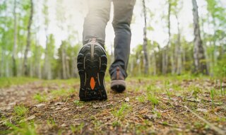 Saúde e Bem-Estar: 45 minutos de caminhada por dia pode te salvar deste problema
