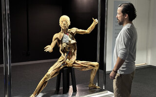 Corpo Humano