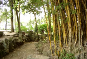 Imagem de destaque para Parque Chico Mendes