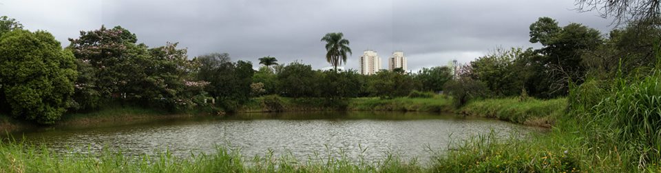 Imagem de destaque para Parque Chácara do Jockey